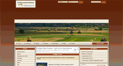 Desktop Screenshot of comune.botosani.ro