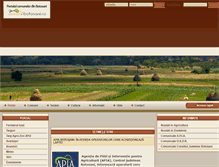 Tablet Screenshot of comune.botosani.ro